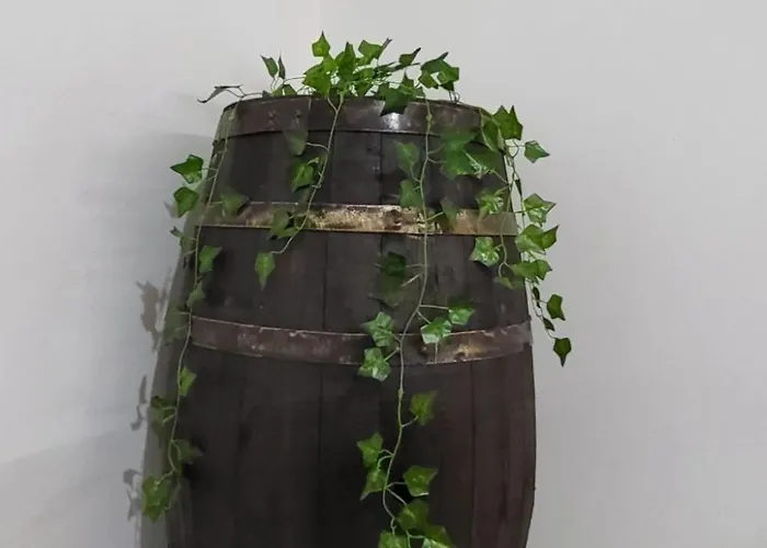 Lägenhet Graziella In Capo Vaticano By Interhome