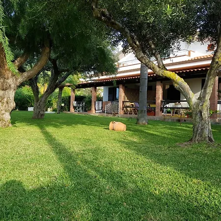 Graziella In Capo Vaticano By Interhome *