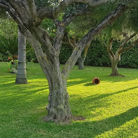 Graziella In Capo Vaticano By Interhome Capo Vaticano