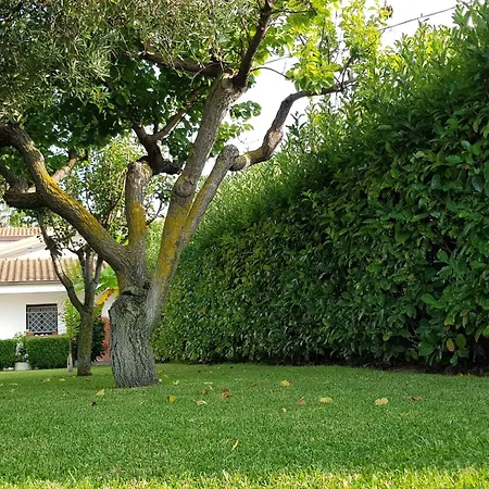 Appartamento Graziella In Capo Vaticano By Interhome