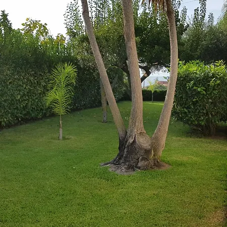 Graziella In Capo Vaticano By Interhome * Capo Vaticano