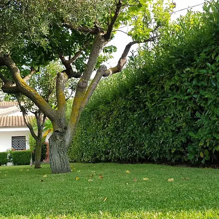 Appartamento Graziella In Capo Vaticano By Interhome *