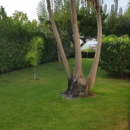 Graziella In Capo Vaticano By Interhome Capo Vaticano