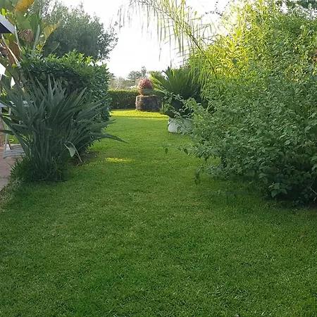 Graziella In Capo Vaticano By Interhome Appartamento