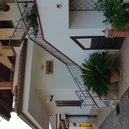 Lejlighed Graziella In By Interhome Capo Vaticano