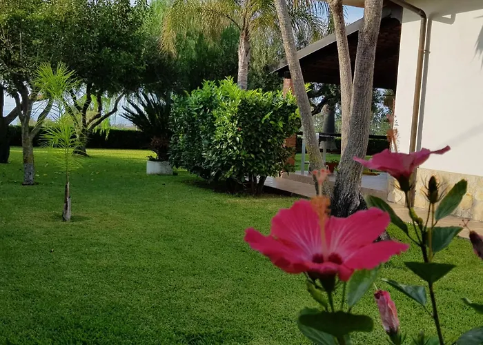 Apartamento Graziella In Capo Vaticano By Interhome