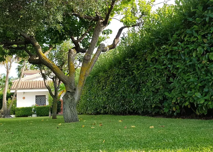 Apartamento Graziella In Capo Vaticano By Interhome