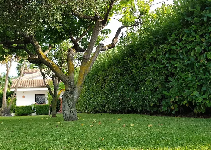 Apartamento Graziella In Capo Vaticano By Interhome *