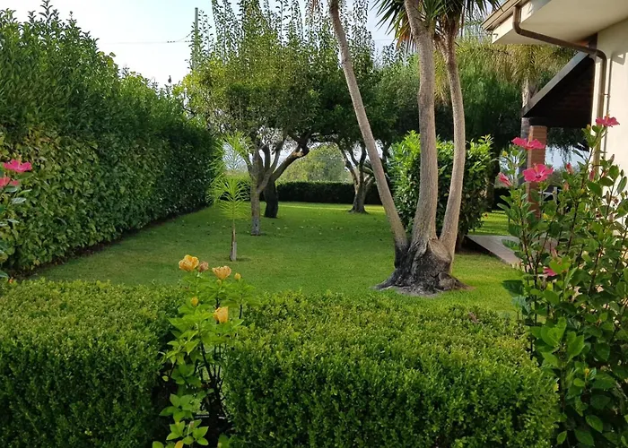 Apartamento Graziella In Capo Vaticano By Interhome