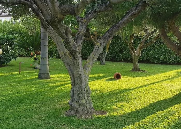 Graziella In Capo Vaticano By Interhome 梵蒂冈角